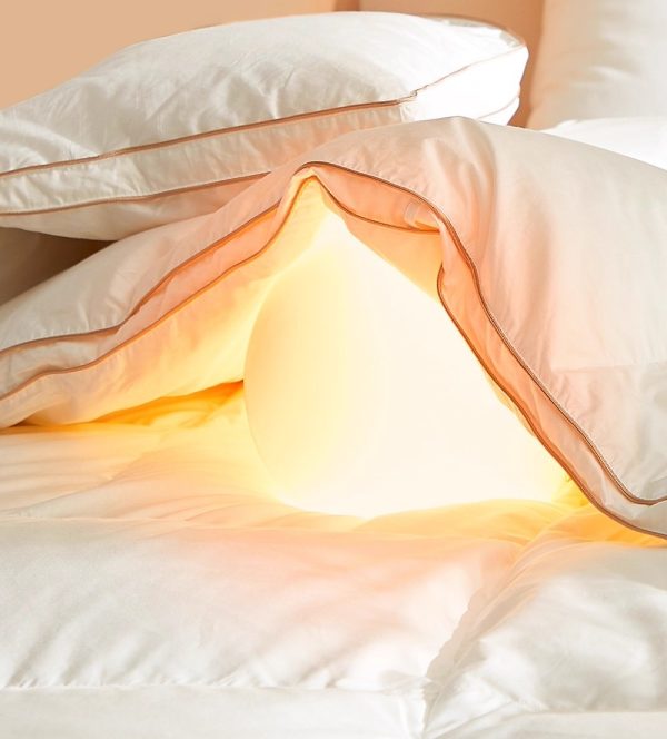hotel luxury bedding comforters , cotton ultra soft, breathable duvet insert,premium extra fluffy goose down comforter